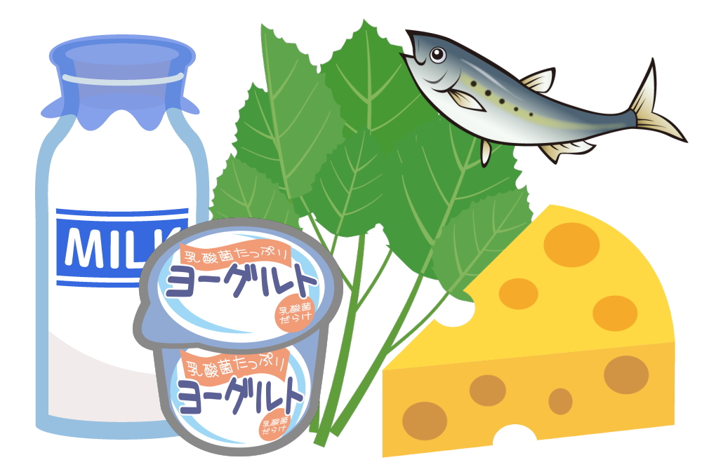 カルシウムが摂れる食材