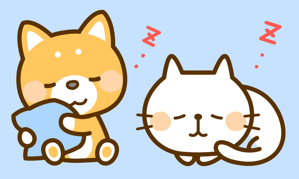 寝る犬と猫