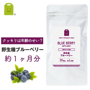 サプリメント専門店ふくやの野生種ブルーベリー