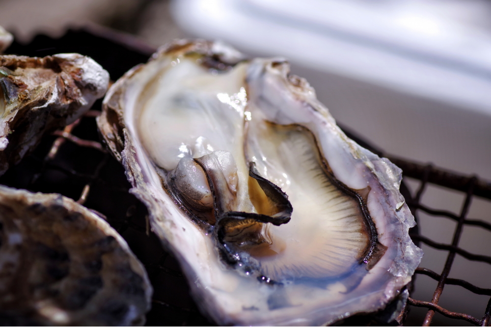 亜鉛を多く含む牡蠣