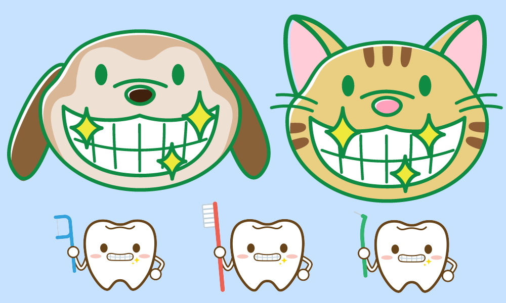 丈夫な歯の犬と猫