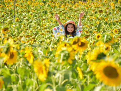 ビタミンK 元気な少女