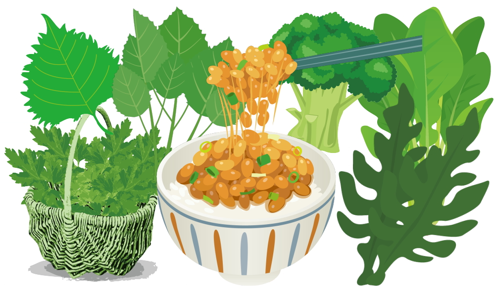 ビタミンKを多く含む食品